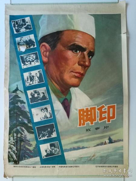 可编辑的护照作假